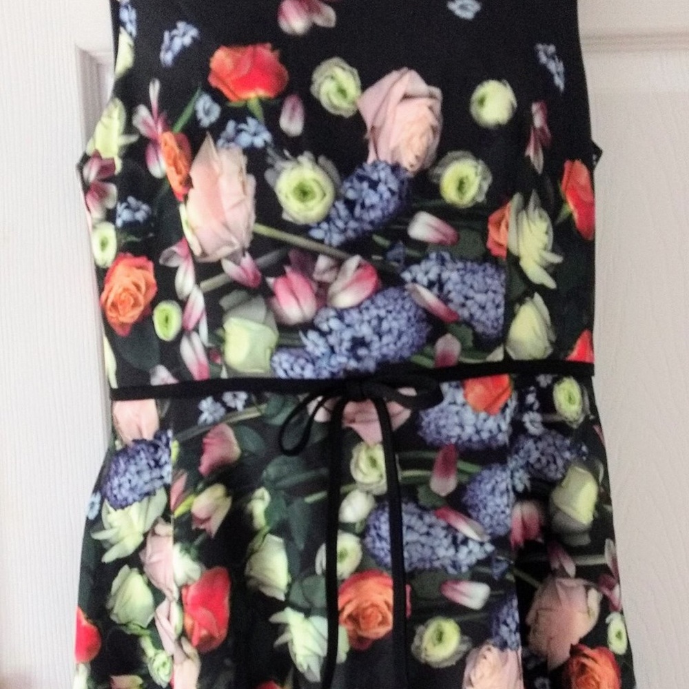 Ted Baker London Dress